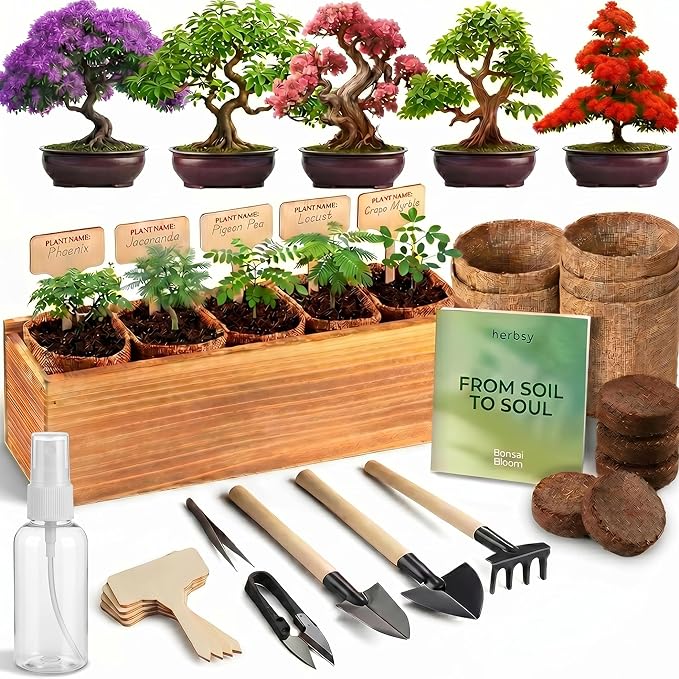Herbsy Bonsai Tree Kit, Indoor Live House Plants Starter Kits, Mothers Day, Birthday Gifts for Women, Men, Gardening Lovers, Complete Bonzai Tree Growing Set