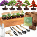 Herbsy Bonsai Tree Kit, Indoor Live House Plants Starter Kits, Mothers Day, Birthday Gifts for Women, Men, Gardening Lovers, Complete Bonzai Tree Growing Set