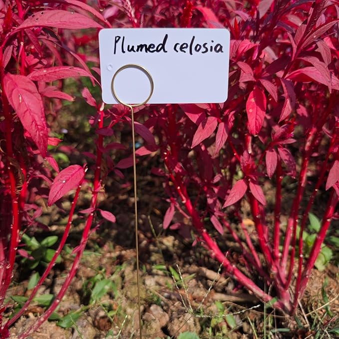 Garden Markers for Plants Outdoor - 20 Pcs 12" Metal Plant Tag Holders for Multiple-use with 40 Pcs Reusable Waterproof Labels & Marker Kit