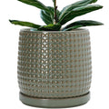 D'vine Dev 10 Inch Ceramic Beaded Stoneware Planter Pot - Flower Pot with Drainage Holes and Saucers for Indoor Succulent Plants or Flowers, Olive, 27-C-P-0