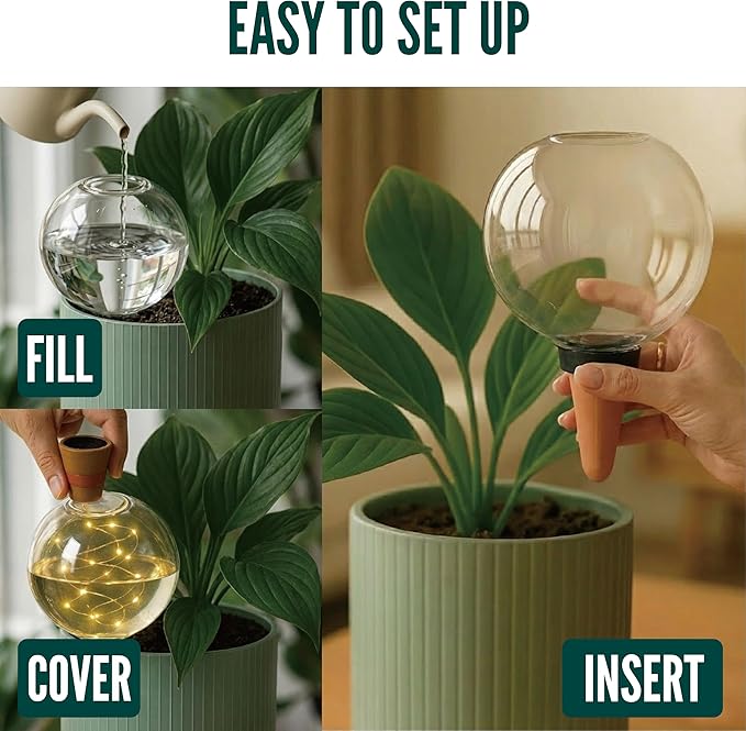 19 oz Extra Large Plant Self Watering Globes Top Fill, LED Night Light Classic Globe Plastic Water Bulbs, Automatic Plant Waterer for Indoor Outdoor Houseplants, Slow Release Planter Insert, 2 Pack