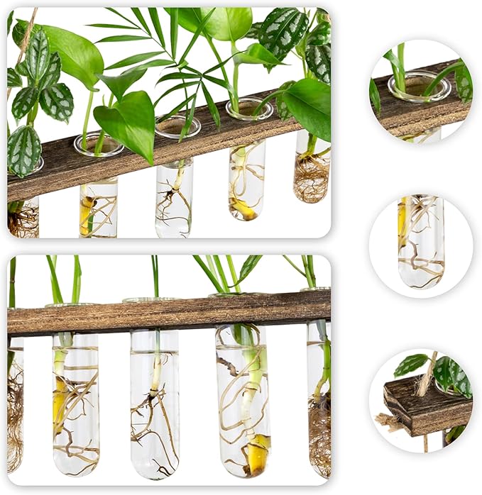 Monsiter QE 3 Tier Wall Hanging Propagation Stations with 15 Glass Test Tubes, Plant Terrarium Propagation Tubes Planter for Hydroponic Cuttings, Window Decor Gift for Plant Lovers