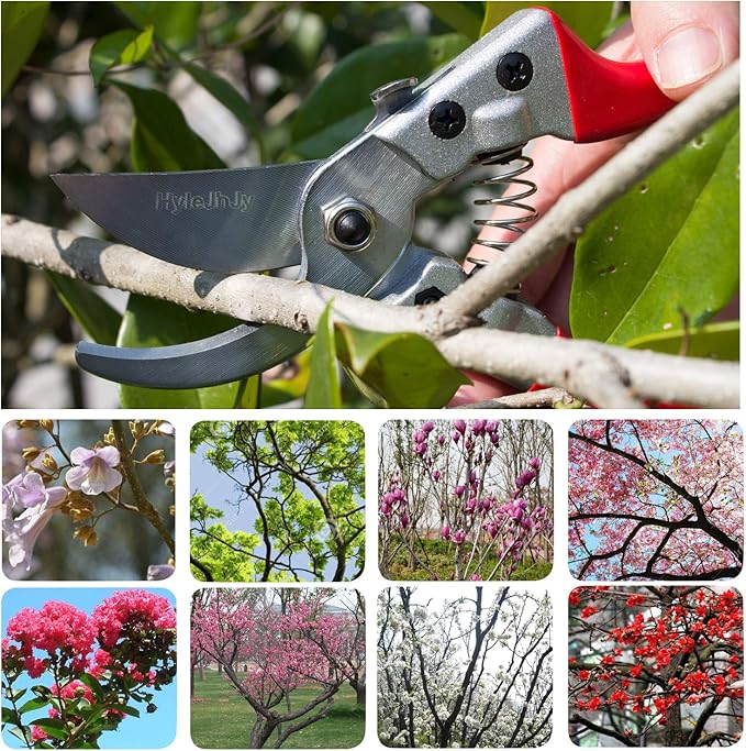 Pruning Shears with Stainless SK5 Steel Blades+Straight Tip Gardening Shears Garden Shears Garden Clippers Florist Scissors Hand Pruners Garden Tools Gardening Tools Set,Red