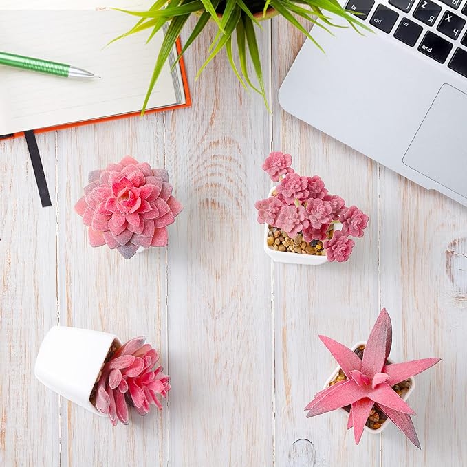 18 Set Artificial Faux Succulents in Pots Artificial Succulent Plant for Women Assorted Decorative Small Fake Plant Potted Faux Cactus Plant for Shelf Desk Room Bedroom Bathroom Office Decor (Cute)