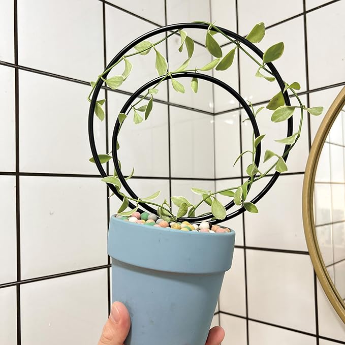 YOHSNOR Hoya Trellis Set of 3 Round Climbing Plant Supports - Small, Medium, Large - Sturdy Metal for Indoor & Outdoor Potted Plants - Easy Tool-Free Assembly - Great Choice for Plant Enthusiasts