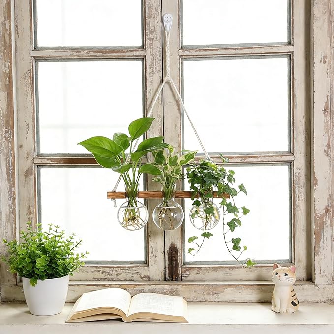 Plant Propagation Station Wall Hanging, Planter Terrariums with Wooden Stand for Hydroponics Plants and Cuttings, 3 Bulb Propagation Vases, Home Office Wall Decor, Gift for Plant Lovers