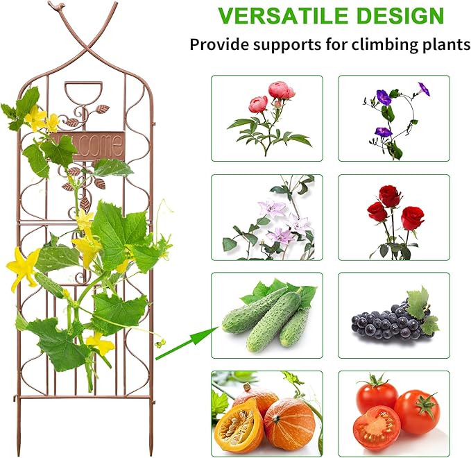 LZRS 2 Pack 59.5 * 18in Rustic Iron Arch Decoration Garden Trellis with Metal Coating – Perfect for Supporting Climbing Plants Outdoor, Roses, Vines, Flowers, and Vegetables, Brown