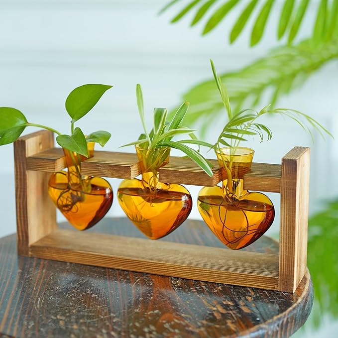 Kingbuy 3-Heart Plant Terrarium Kit - Stained Glass Vase Propagation Station with Vintage Wood Stand - Wall-Mounted Tabletop Indoor Garden Decor for Home Kitchen Wedding Gift for Plant Lover, Amber