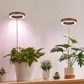 Plant Grow Light,Yadoker LED Growing Light Full Spectrum for Indoor Plants,Height Adjustable, Automatic Timer, 5V Low Safe Voltage,Idea for Small Plant Light