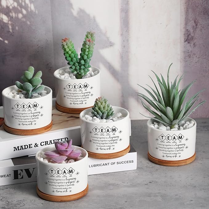 12 Pcs Employee Appreciation Inspirational Succulent Pots Gifts Bulk for Women Coworker Teacher Small Ceramic Plant Pots with Bamboo Trays for Office Staff Group Graduation(Team)