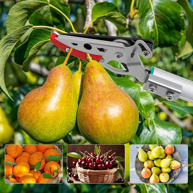 GARTOL 32 Inch Cut and Hold Pole Pruner - Lightweight Long Reach Tree Trimmer with Snip and Grip Technology, 1/2 Inch Cutting Capacity, One-Hand Use Fruit Picker for Roses, Persimmons & Tall Branches