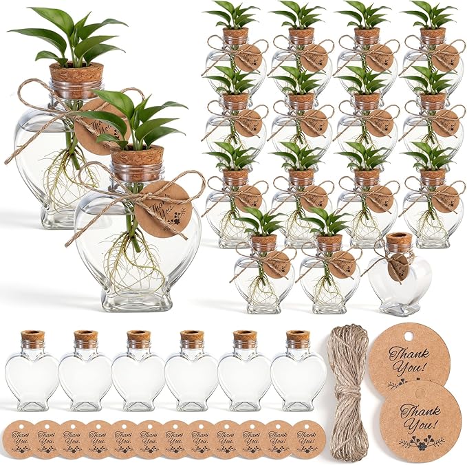 Baderke 24 Pack 3.74'' Plastic Plant Propagation Stations with Hole Lid 5oz Planter Vase Clear Propagation Jars with Thank You Tags for Plant Lover Gifts for Women Office Home Garden
