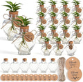 Baderke 24 Pack 3.74'' Plastic Plant Propagation Stations with Hole Lid 5oz Planter Vase Clear Propagation Jars with Thank You Tags for Plant Lover Gifts for Women Office Home Garden