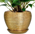 Ceramicfor Indoor Plant Pot 6 Inch - Ceramic Pot for Plants Outdoor Planter with Drainage Hole and Saucer Round Decorative Planter Modern Flower Pot for Home Decor Gold