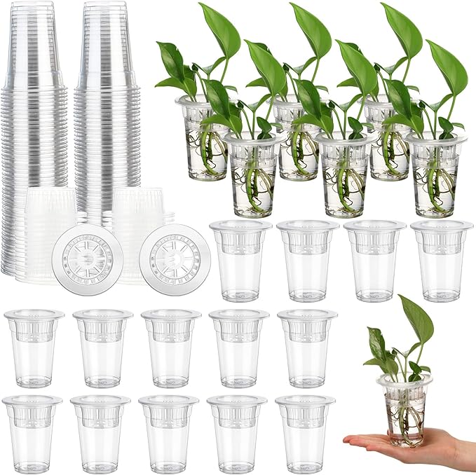Baderke 100 Pcs Plastic Plant Propagation Station Desktop Terrariums Plant Tabletop Vase with Hydroponic Baskets for Indoor Home Office Desktop Decor (3.94'')