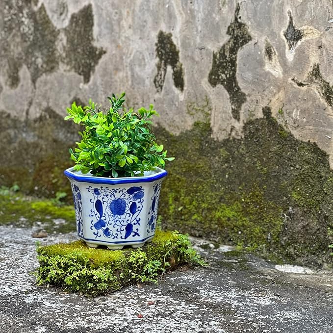 HakkaGirl Ceramic Planter, Chinoiserie Decor Ceramic Flower Pots Plant Pots Indoor with Drainage for Orchid Succulent or Small Plants, Blue and White, Set of 3