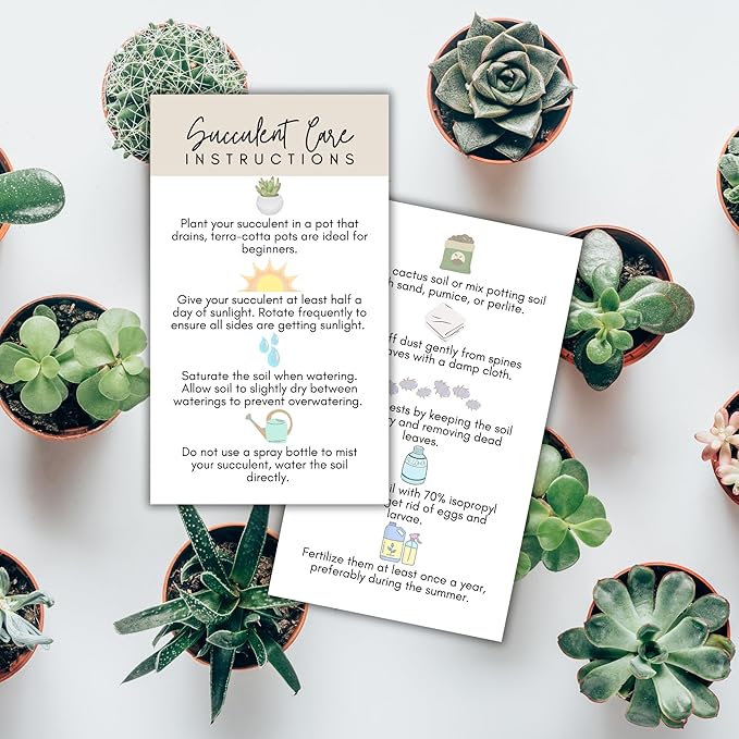 Succulent Care Instruction Cards with Icons 50pk 2x3.5” Home Propagated Plants for Sale Client Care How to Water Kit Plant Tags Labels