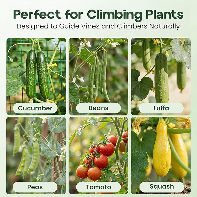 48x48 Cucumber Trellis for Raised Bed - U Shape Vegetable Garden Trellis for Climbing Plants Outdoor - Support for Cucumbers, Pea, Zucchini, Squash,Tomato, Green Bean, Vine, Watermelon, Melon, Pumpkin