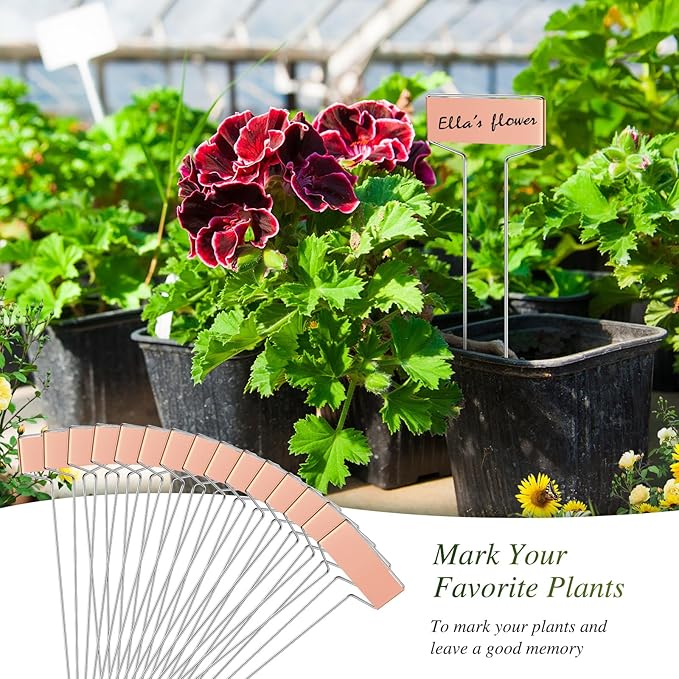 Moxweyeni 61 Pieces Metal Plant Tags Kit 30 Pieces Copper Metal Plant Labels 30 Rainproof Pet Films 1 Marker Pen Reusable Planting Garden Markers Nursery Tags (T Shape)
