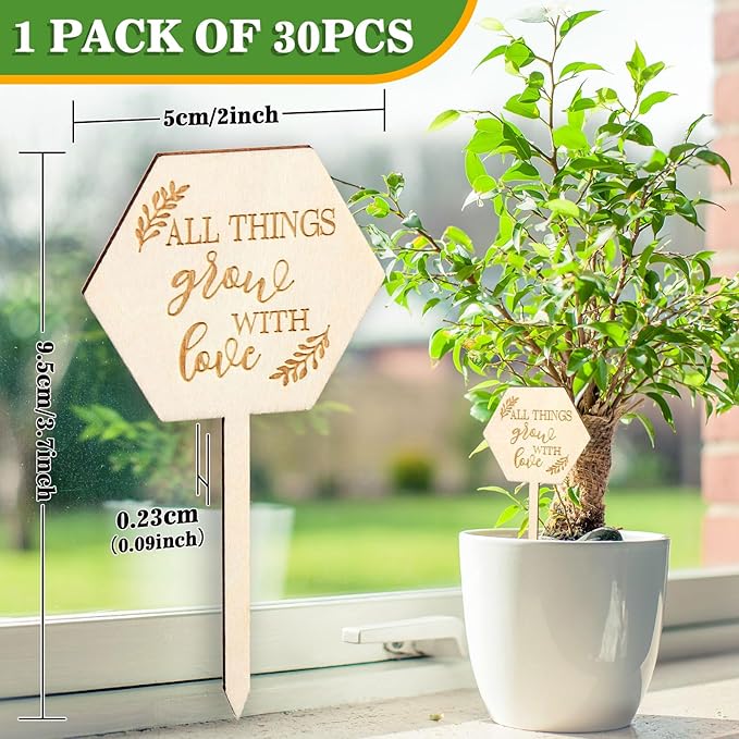 AnyDesign 30 Pcs All Things Grow with Love Labels Succulent Tags Hexagon Wooden Plant Stakes Labels Garden Marker Plant Sign for Seed Potted Teacher Appreciation Gift Thanksgiving Baby Shower