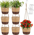 6 Pcs Seagrass Hanging Planter Basket Hand Woven Plant Basket with Plastic Liners Hanging Plant Holder Storage Containers with Cotton Rope for Indoor Garden Decor (Small,Brown,Coffee Brown)