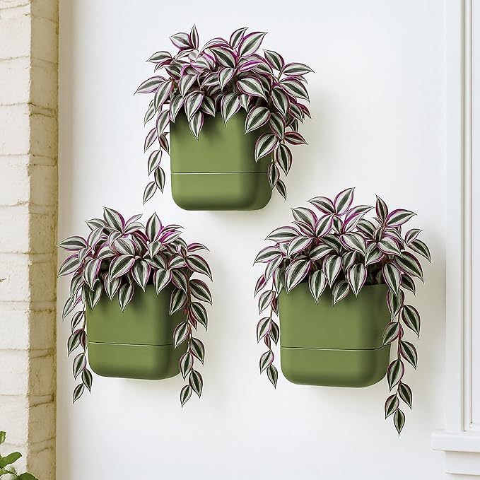 Phoenix Vine 6.5 Inch Wall Mounted Self-Watering Planter Pot for Indoor Houseplants and Herbs | Hanging Planter for Window Sills, Bathroom Walls, Home & Office Décor, Olive, Set of 3, 01-C-F-3
