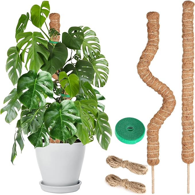 Moss Pole Monstera Plant Support, 2 Ft, 2 Pack Sustainable Coir Bendable Moss Pole Stakes, Plant Sticks for Climbing Vines, Pothos, Potted, Comes with Velcro Tape and Hemp Rope