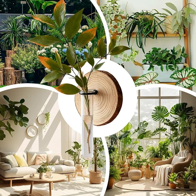 Plant Propagation Station,Wall-Mounted Hydroponic Propagator System Holder | Test Tubes Vase Planter - for Home Office Balcony Terrace Gardening Window Water Women Men Mom