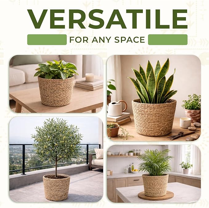 Set of 3 Woven Seagrass Planter Baskets – Handwoven Decorative Storage Baskets for Indoor Plants, Boho Home Decor, Living Room & Entryway Display – No Handle Design