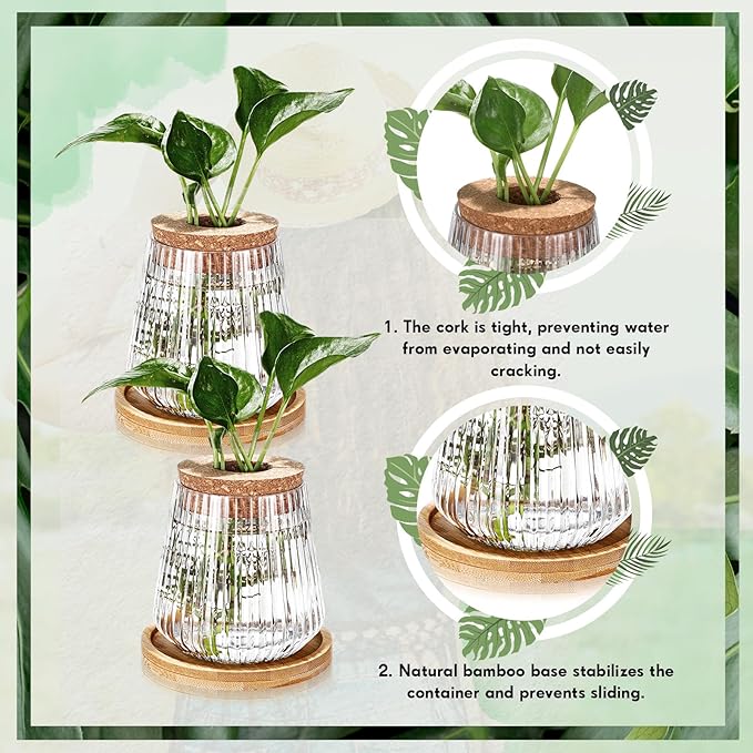Baderke 12 Packs Propagation Vases for Plants Plastic Plant Propagation with Hole Lid and Bamboo Stand Growing in Water Hydroponic Home Office Desktop Vase Decoration