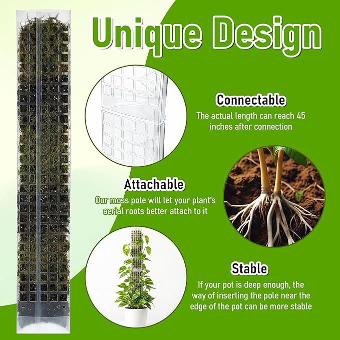 6 Pcs 24 Inch Plastic Moss Pole for Plants Monstera, D Shaped Moss Pole, Plant Poles for Climbing Plants, Plant Support for Indoor Plant Work with Sphagnum