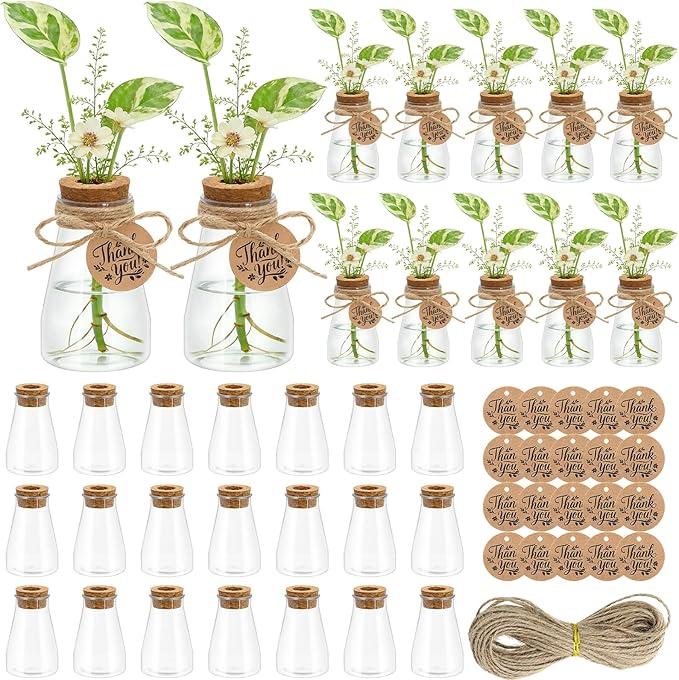 30 Pack Plant Propagation Stations, 3.35'' Plastic Propagation Jars Clear Hydroponic Small Vase Hanging Planter Tube with Cork Lid Tags for Plant Lovers Classroom Office Home Decor Women Garden Gifts
