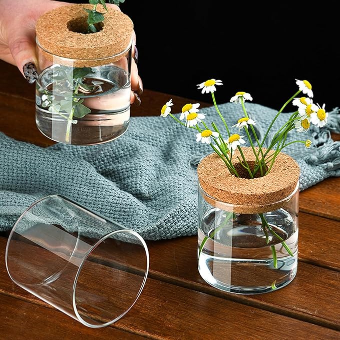 Clear Glass Planter Vase with Wooden Lid and Bamboo Stand for Hydroponic Plants, Succulents, Cut Flowers Gifts for Women Mom Plant Lovers (1, 2.55 * 3.93inch)