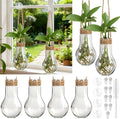 Baderke 9 Pack Window Propagation Stations 3.9 Inch Plastic Hanging Plant Propagation Vases with Hooks & Cleaning Brush Clear Tubes for Plant Clippings, Home Office Decor, Gardening Gifts for Women