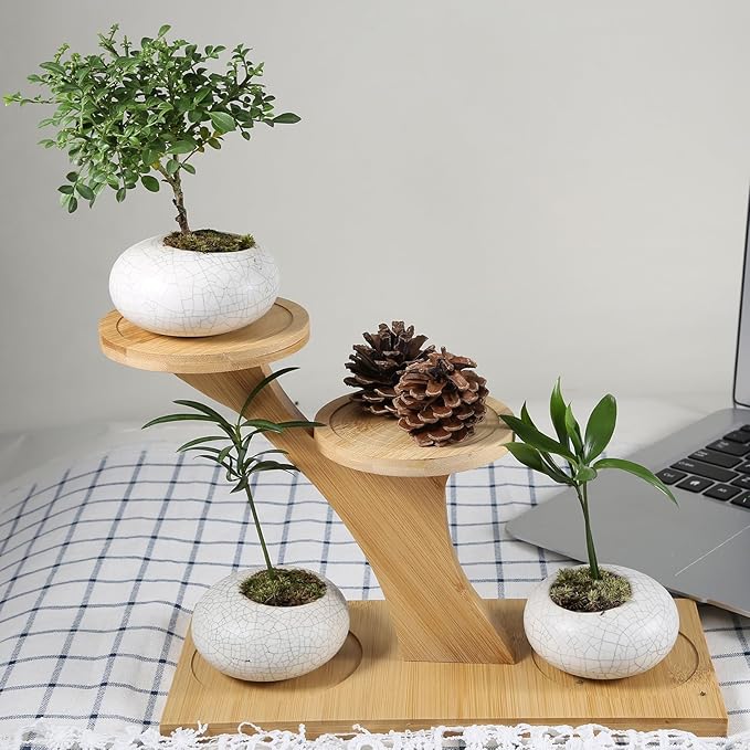 Window Sill Plant Shelf，Desk Desktop Bamboo Plant Stand， Table Succulent Plant Stand for Home, Office, Living Room, Bedroom Decoration(2set)
