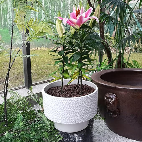 11 Inch Plant Pots, Ceramic Pots for Plants with Drainage Hole, Plant Pots Indoor for Monstera, Honeycomb Planter Flower Pot for Plants, Modern Planters for Deck Home Office Plants, White