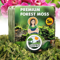 DUSPRO 5oz Dried Moss for Potted Plants, Forest Orchid Moss for Potting Mix, Sphagnum Potting Moss for Plants Indoor, Real Moss Soil Cover for Houseplant