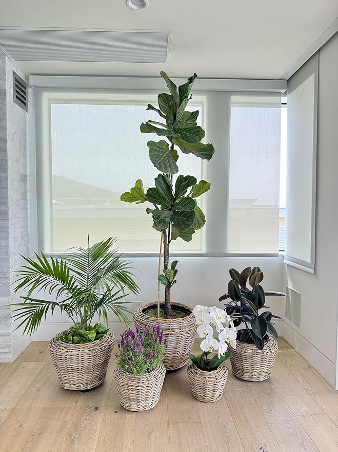 Kouboo Rattan Kobo Indoor Outdoor Planter Basket with Plastic Pot Large 65 Gallon Soil Capacity