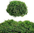 Green Moss for Crafts Artificial Moss Decorative Moss for Potted Plant Faux Orchid Moss Potting Mix Soil Peat Sphagnum Moss Pole Craft Arts Floral Wedding Decor Fairy Garden Terrariums Decoration