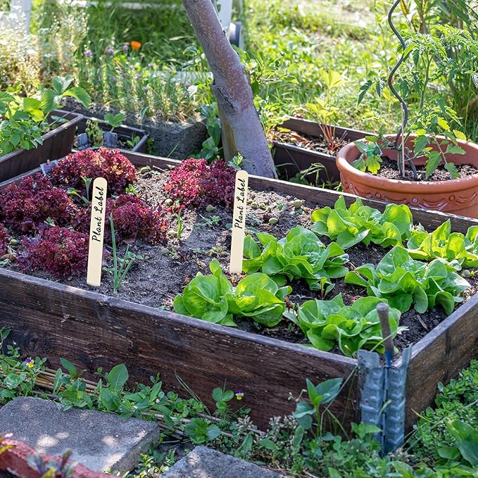 Weysat 50pcs Wooden 12 Inch Plant Labels with Marker Waterproof Garden Markers Tags Garden Labels Sticks Wooden Plant Sign Stakes Sticks with Pen for Seed Pot Herbs Flowers Vegetables