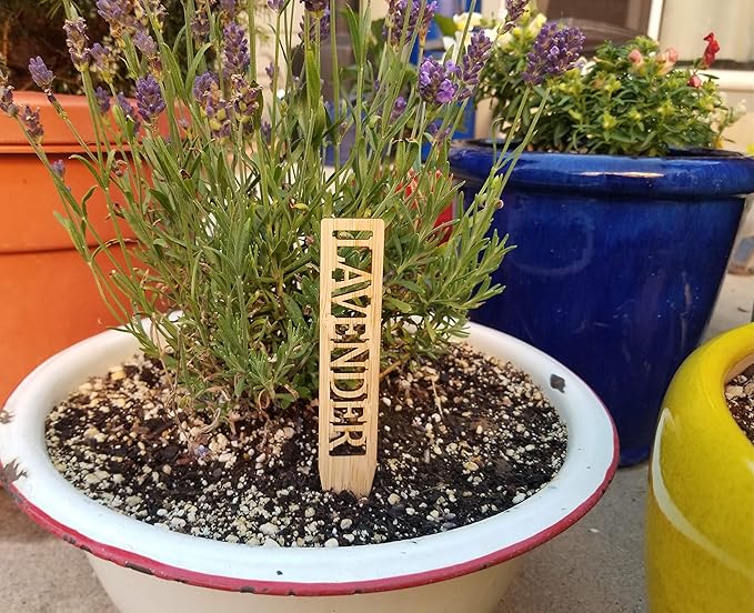 Bamboo Herb Markers - Set of 12 Beautiful Garden Labels - Sturdy Outdoor Garden or Potted Herb Markers