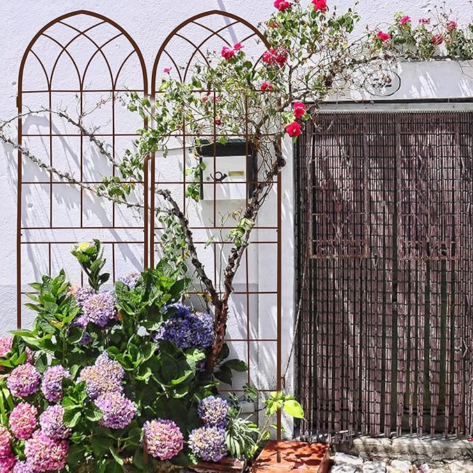 LZRS 2 Pack Rustic Iron Arch Decoration Garden Trellis with Black Metal Coating – Perfect for Supporting Climbing Plants Outdoor, Roses, Vines, Flowers, and Vegetables,Brown