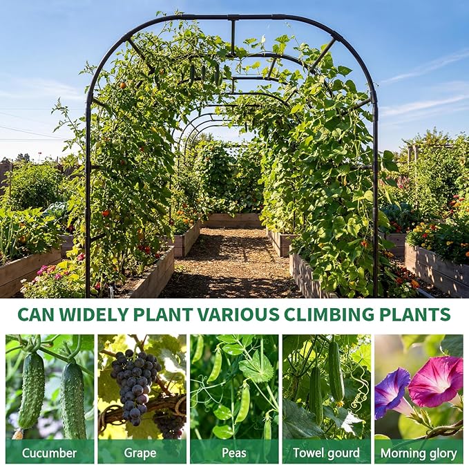 SUNYRISY Garden Arch Trellis for Climbing Plants Outdoor, 88" x 88" x 88" Metal Core Tall Archway Tunnel Plant Support for Cucumber Tomato Vine Flowers Vegetables Climbing Plants