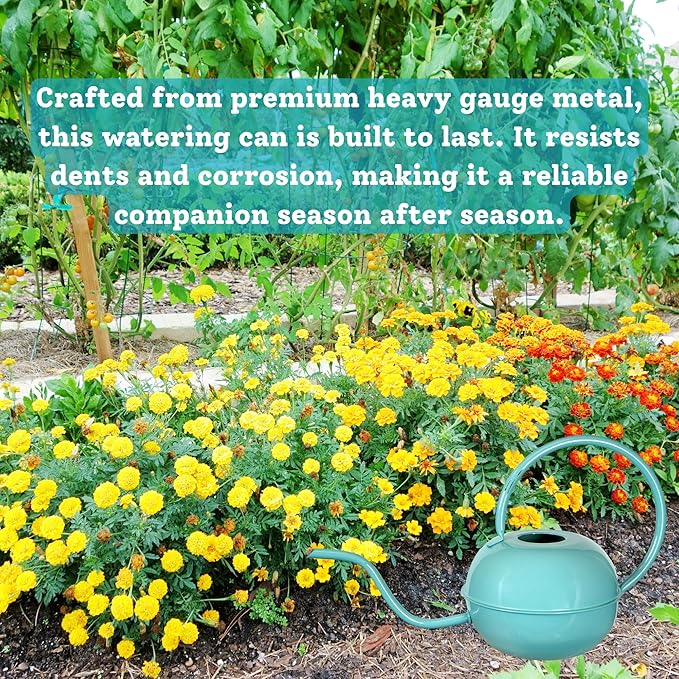 Down to Earth Basics 1.5 Liter Metal Watering Can – Teal Painted Finish, Durable Metal with Long Spout for Indoor & Outdoor Plant Watering