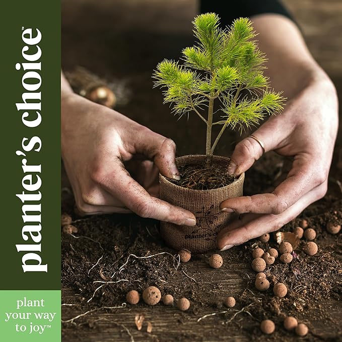 Planter's Choice Bonsai Tree Starter Kit - Mothers Day Gifts for Women, Men - Birthday Gifts for Adults - Indoor Live House Plants - DIY for Adults Craft Kits - Unique Hobby Gift Gardening Lovers