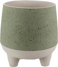 The HC Companies 8 Inch Orion Self Watering Planter - Lightweight Indoor Plastic Plant Pot for Herbs and Flowers, Sage