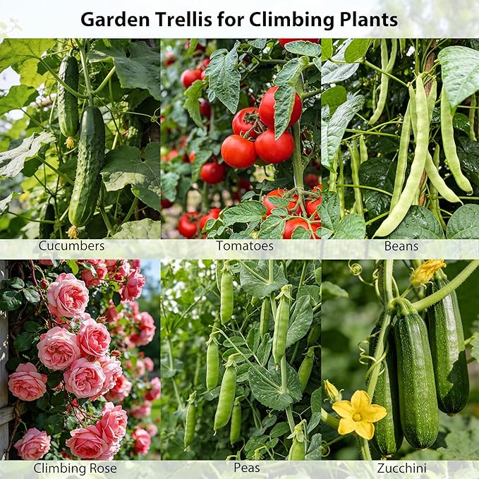 Miory Cucumber Trellis, 32"x48" 2 Pack A-Frame Trellis for Raised Bed, Garden Trellis for Climbing Plants Outdoor, Plant Support for Vegetables Vines