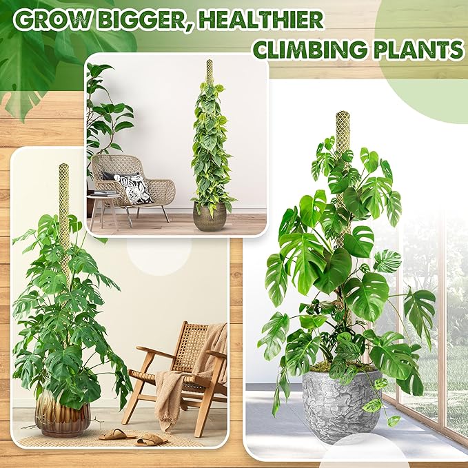 DUSPRO 4 Pack 22" White Stackable Mesh Moss Pole for Plants – Extendable Up to 71", Natural Forest Moss Pole Monstera Plant Support, Moss Stick for Climbing Plants, Indoor Plant Stakes Accessories