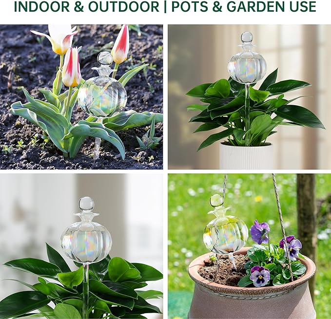 Soilagua 10 oz Large Top Fill Cactus Plant Self Watering Globes, Light Iridescent Glass Water Bulbs, Slow Release Watering Devices System Indoor | Outdoor Everyday Use, Water Spikes Stakes, 2 Pack