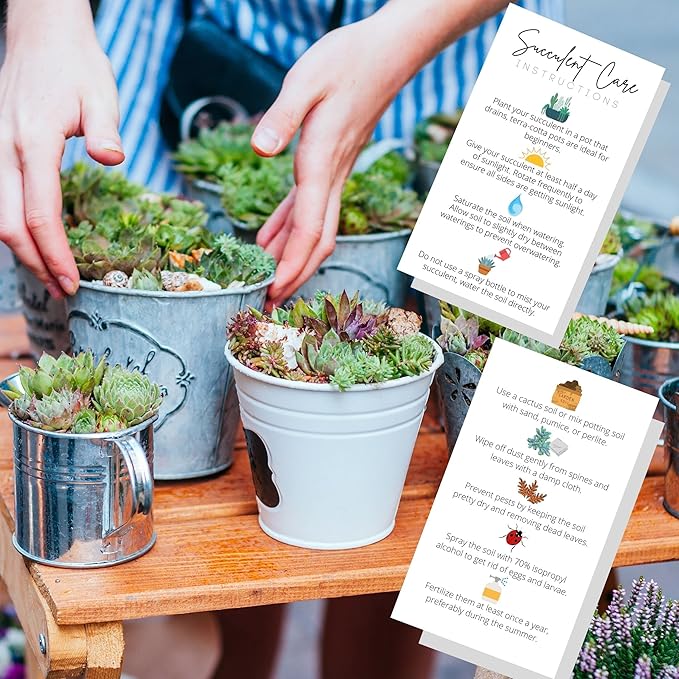Succulent Care Instruction Cards | 50 Pack | 2x3.5” in Business Card | Succulent Care Cards | Plant Care Guide for House Sitter, Neighbor, Friend | White Card with Colored Icon